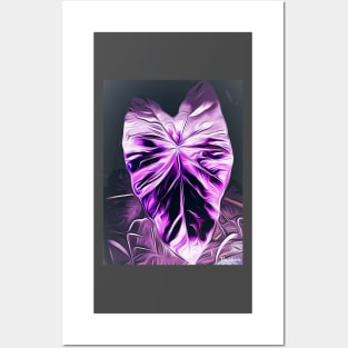 Colocasia in Purple Posters and Art